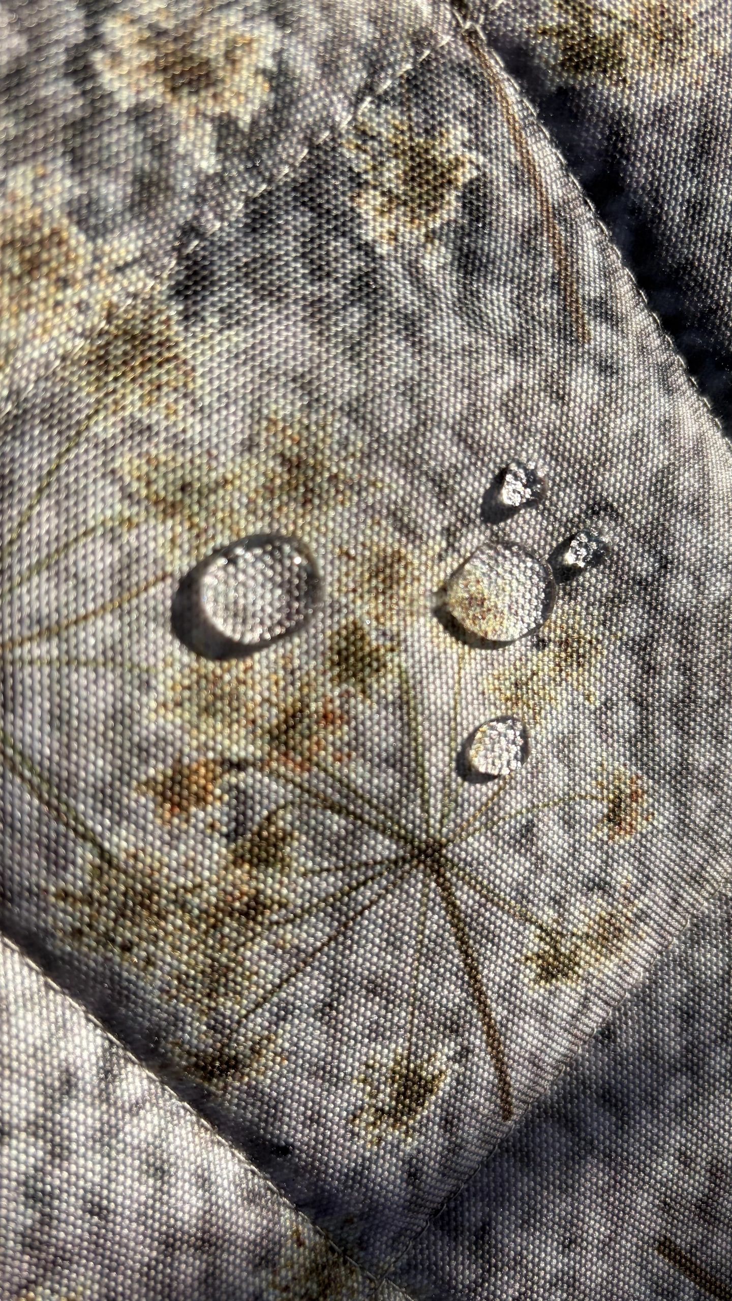 Meadow Flowers - Image 5