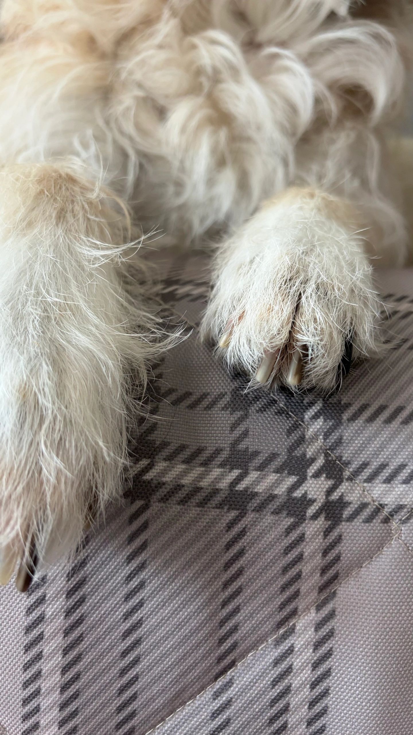 Simple Plaid - Image 2