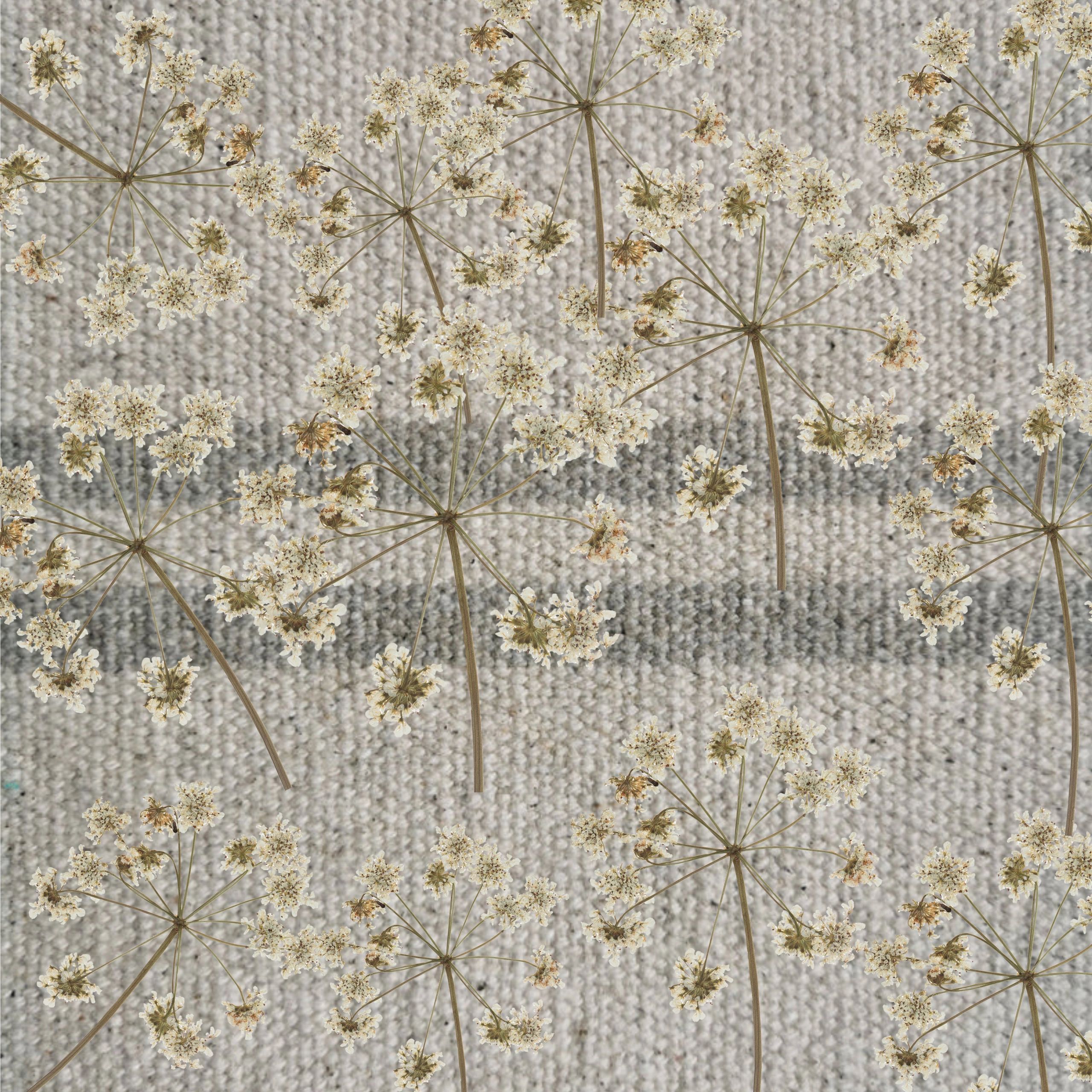 Meadow Flowers - Image 9